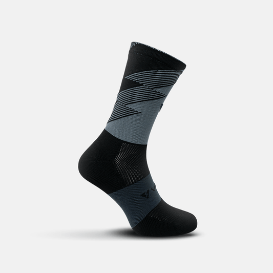 Áster Grises Negras - VEROZ