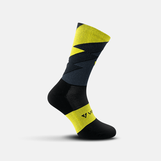 Áster Negras Amarillas - VEROZ