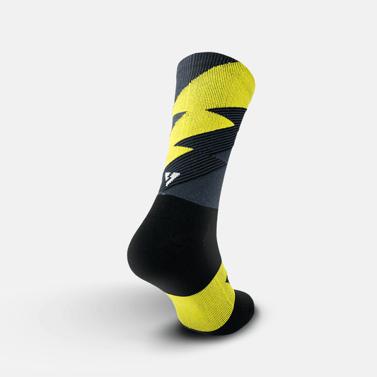 Áster Negras Amarillas - VEROZ