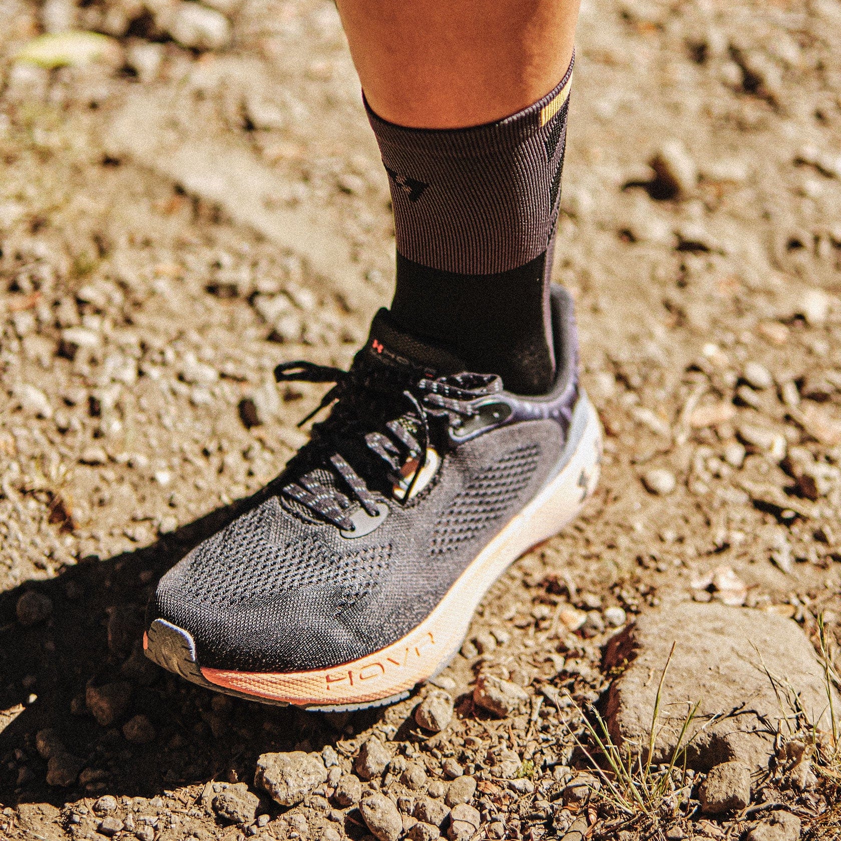 Orión Negras Carbón Cortas - VEROZ