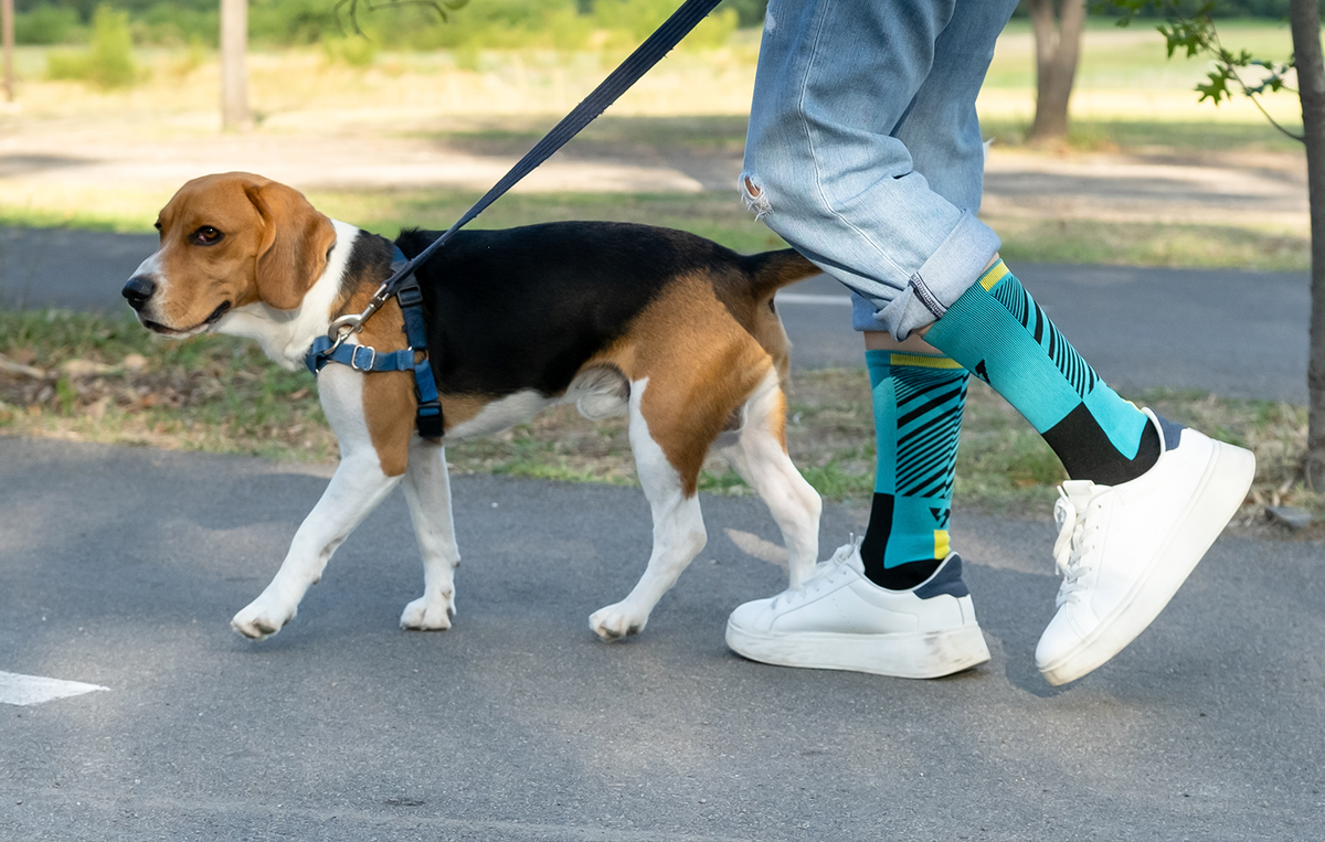 5 razones por las que debes comenzar a utilizar calcetas deportivas premium - VEROZ
